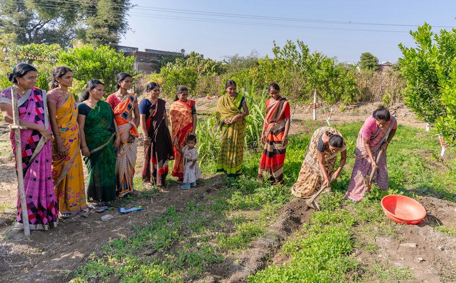 Un grupo de mujeres trabajando juntas en una granja